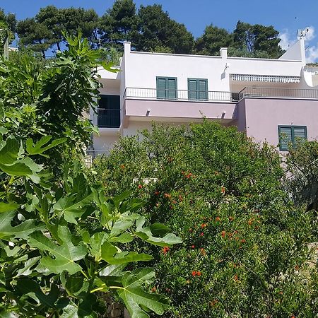 פודגורה Apartments Pero מראה חיצוני תמונה